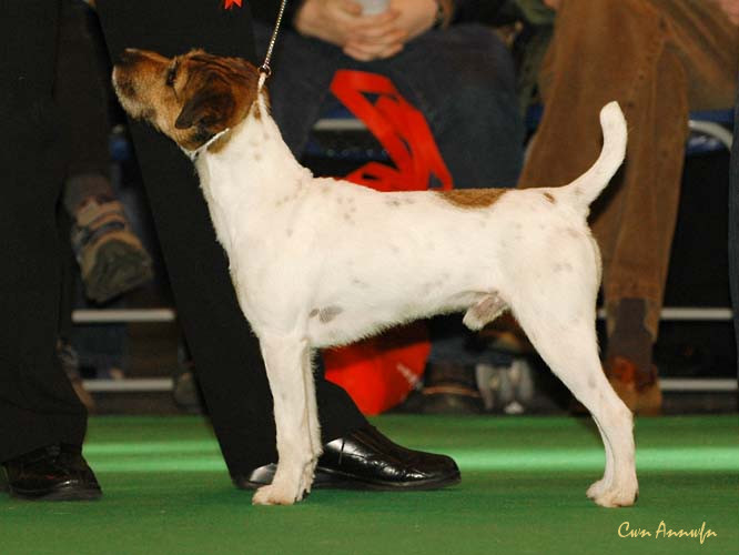 DSC_6202_rhymshott strider