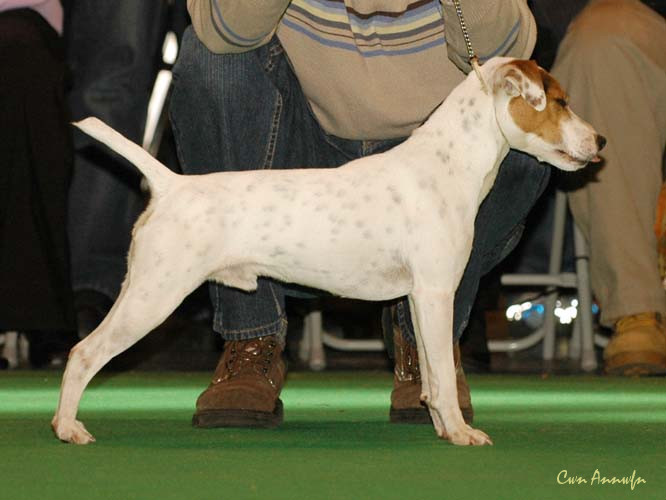 DSC_6203_pacolito spunky monkey