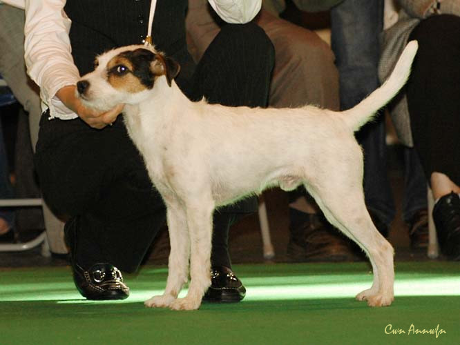 DSC_6204_finley of lovealoch