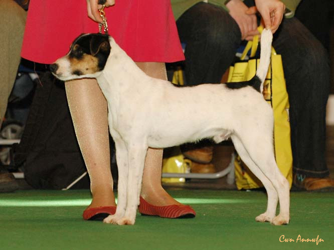 DSC_6205_foxwarren boy otto