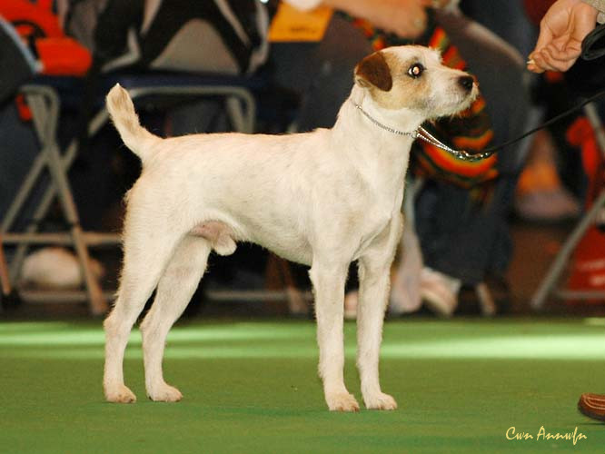 DSC_6207_mindlen muddler minnow