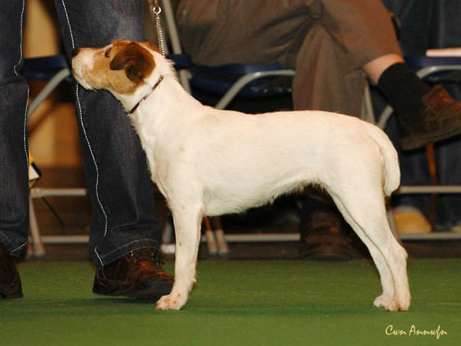 DSC_6212_clystlands emblazonment