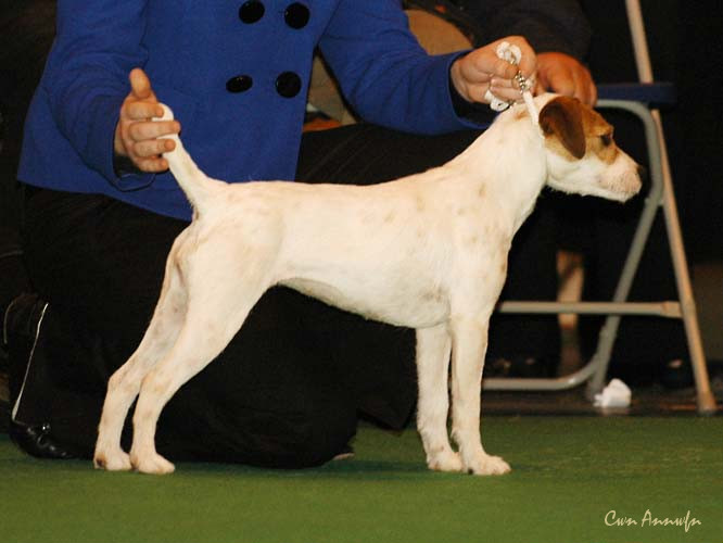 DSC_6214_pacolito picture monkey