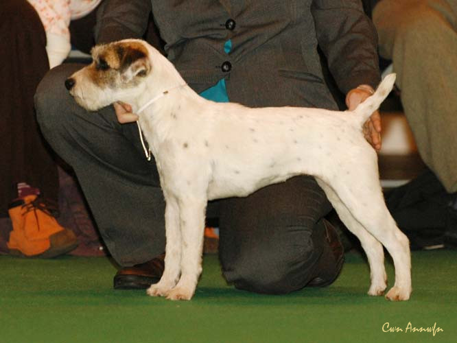 DSC_6219_alncroft everlong