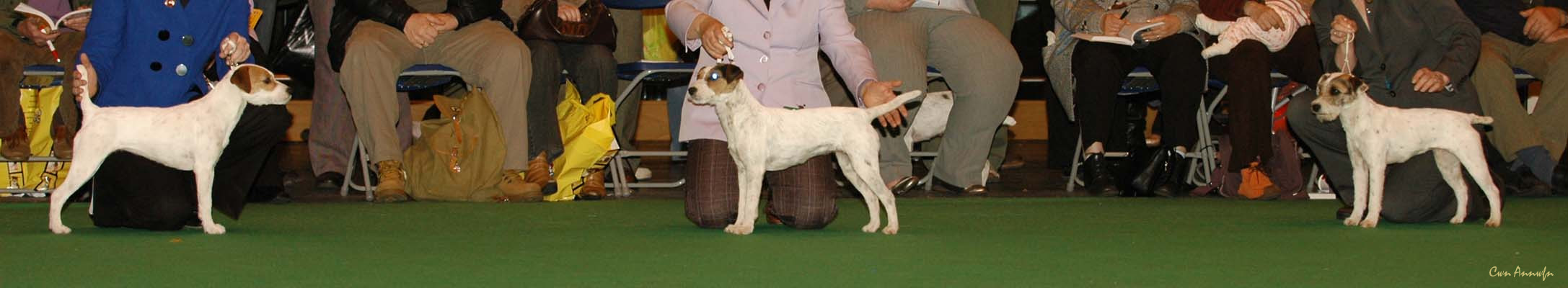 DSC_6222_pacolito picture monkey_pacolito phirstclass_alncroft everlong