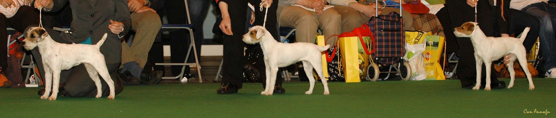 DSC_6223_alncroft everlong_mindlen blue bottle at hoolmark_pacolito phokeggetmenot via bradpole