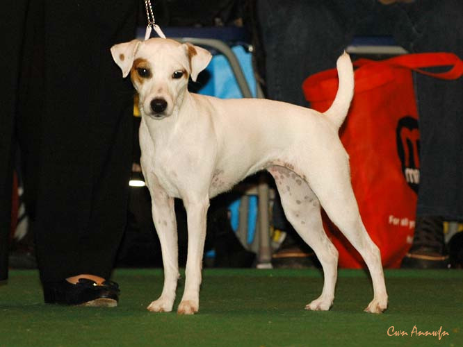 DSC_6229_neelans sugarbabe