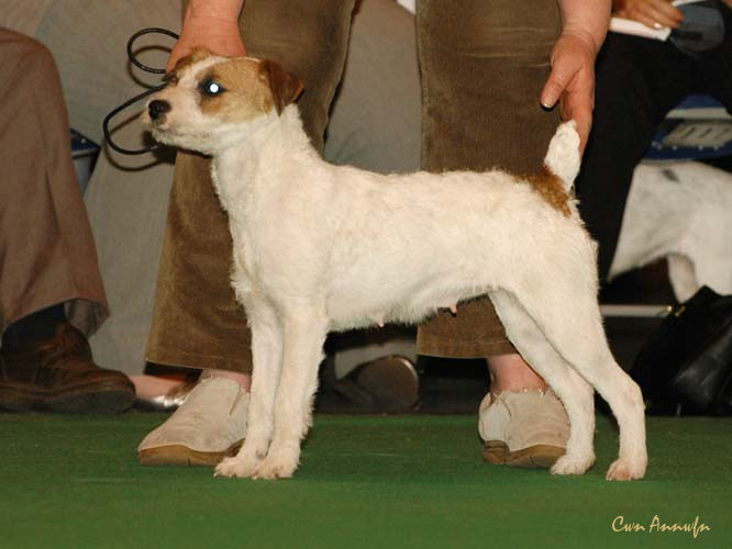 DSC_6230_retro rebel at skorrier