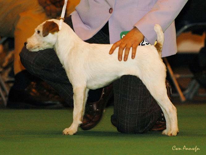 DSC_6235_pacolito pathfinder