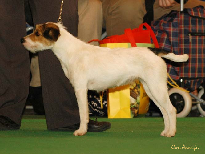 DSC_6242_foxwarren crackers