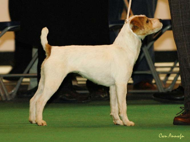 DSC_6245_pacolito pathfinder