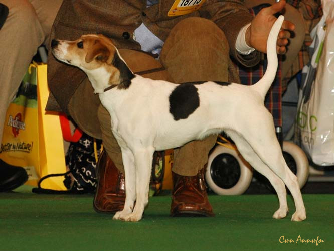 DSC_6248_claremorris worry