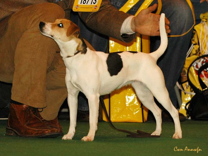 DSC_6258_claremorris worry