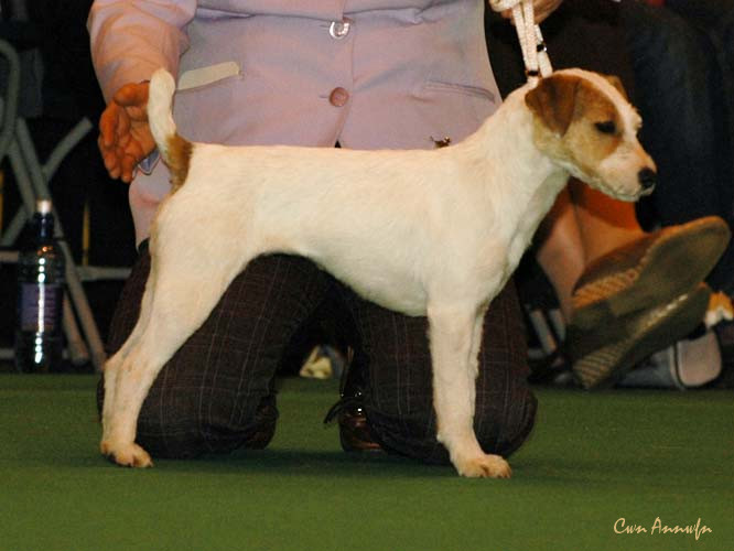 DSC_6261_pacolito pathfinder