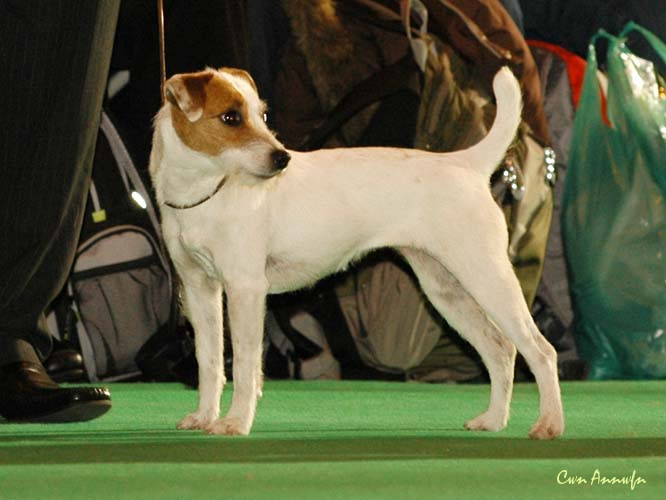 DSC_6274_muhlross miss marples