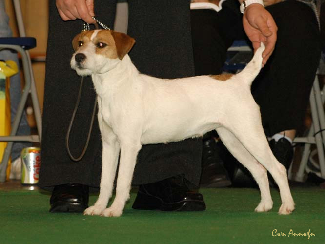 DSC_6275_skybex make my day at matsstars