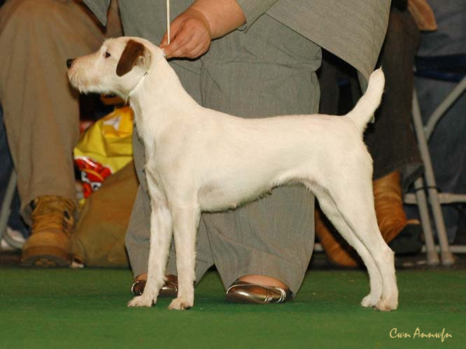 DSC_6278_cragrats secret star rutaaro