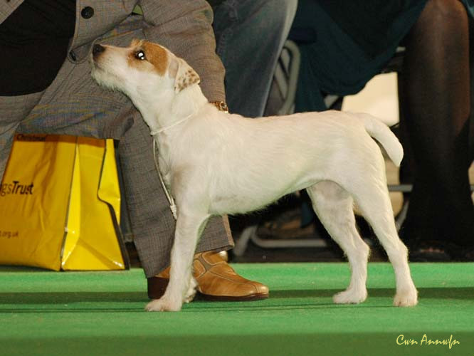 DSC_6279_foxwarren kizzy under blueroof