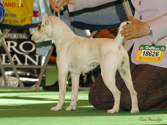 DSC_6281_pacolito picturesque