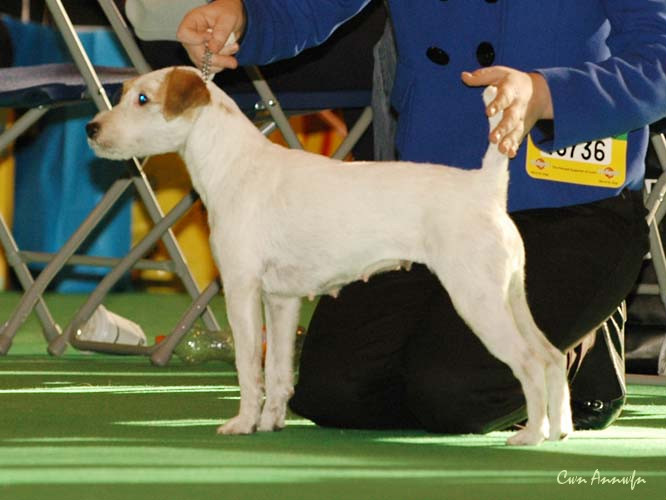 DSC_6282_pacolito phlirt