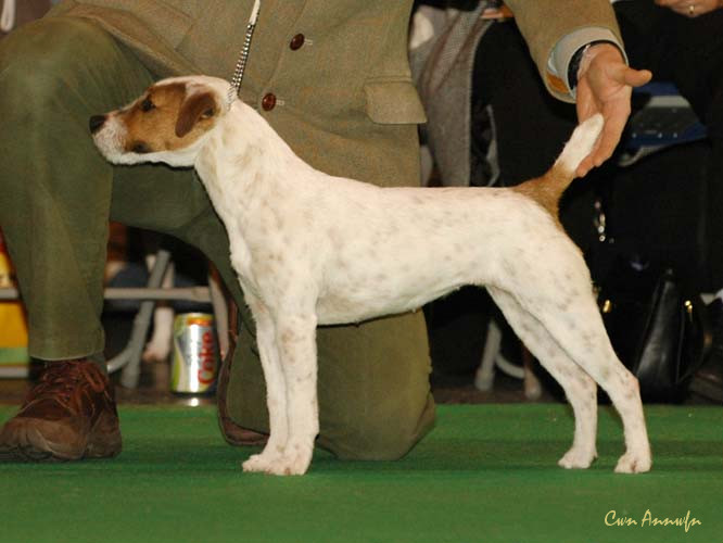 DSC_6283_pacolito xsquisite at windynook