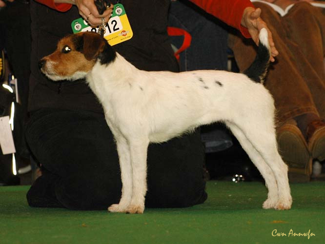 DSC_6284_olliebark thats my girl