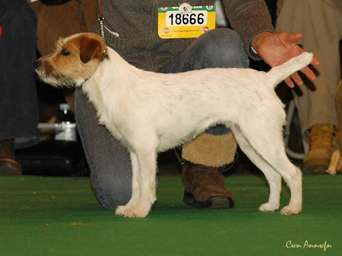 DSC_6287_ratpack truffle magic