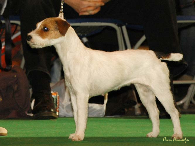 DSC_6289_pacolito premonition at kannye