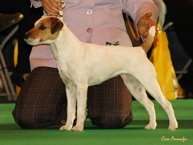 DSC_6291_pacolito x rated