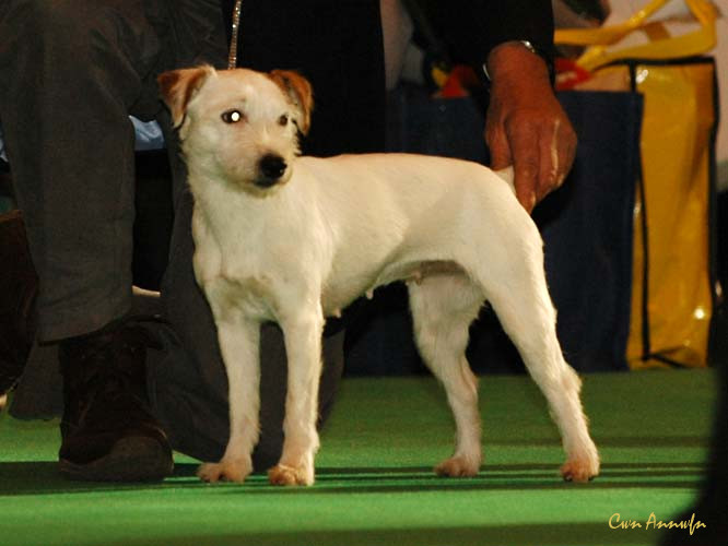 DSC_6293_guestwick lindy loo of bradpole