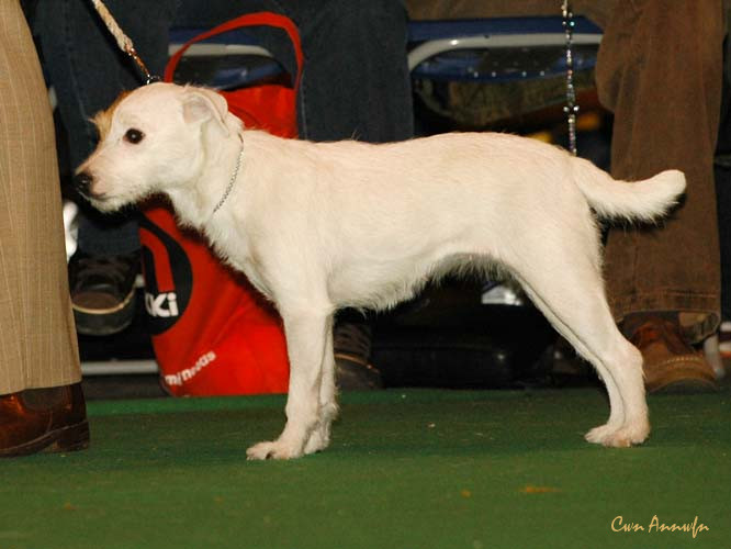 DSC_6296_moonreapers polly garter