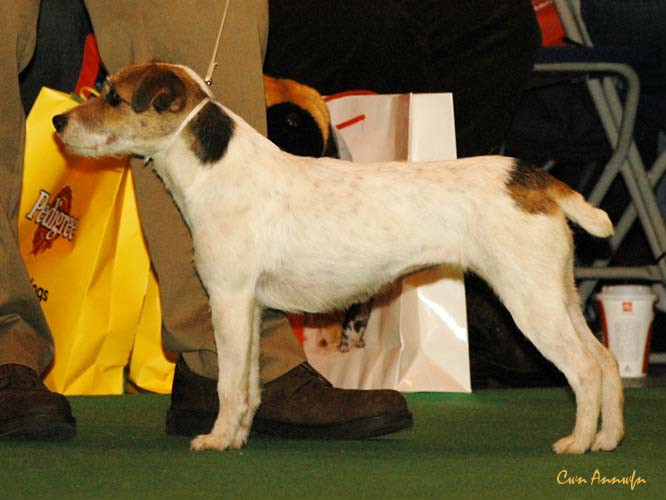 DSC_6321_garsayno tuti fruti