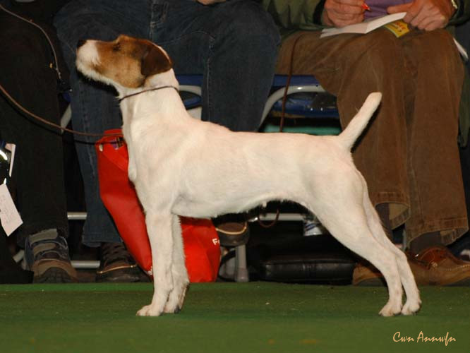 DSC_6323_miss teeq of andralok