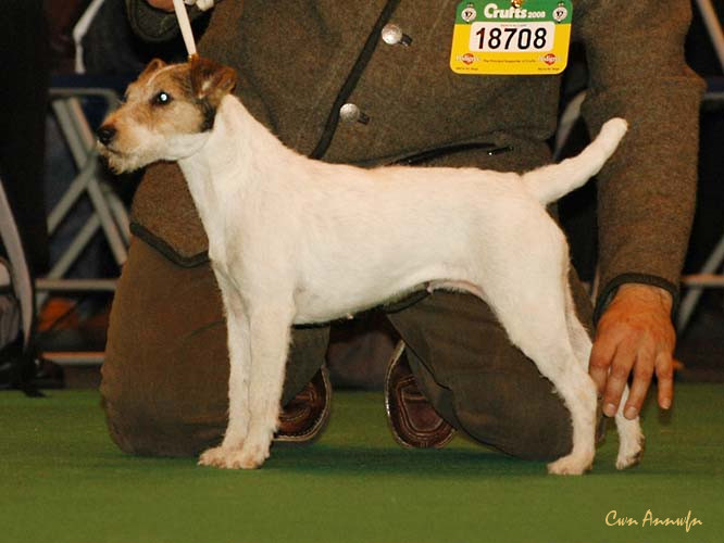 DSC_6325_suzans pride armonie