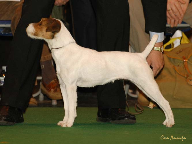 DSC_6332_miss teeq of andralok