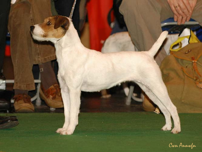 DSC_6333_miss teeq of andralok