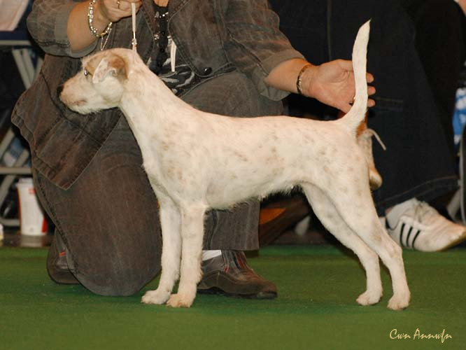 DSC_6337_danscans mary