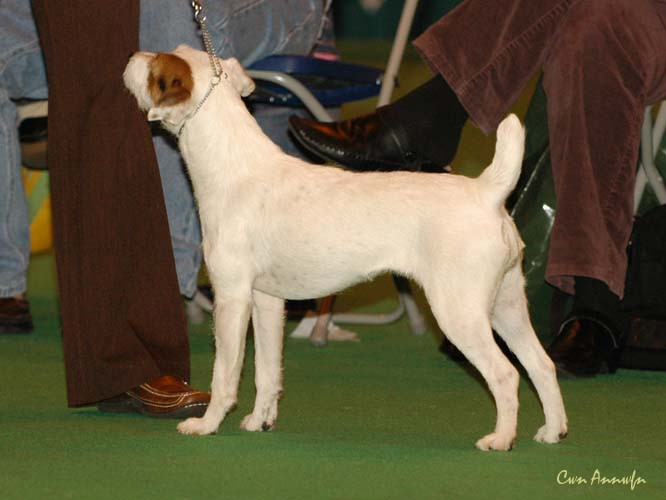 DSC_6341_mindlen mataura