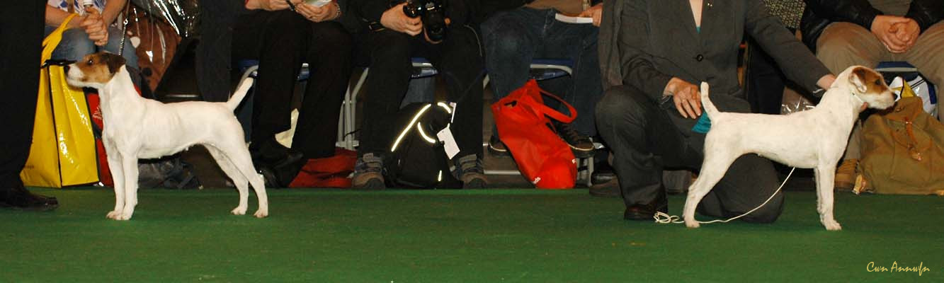 DSC_6342_miss teeq of andralok_pacolito phantastic at alncroft