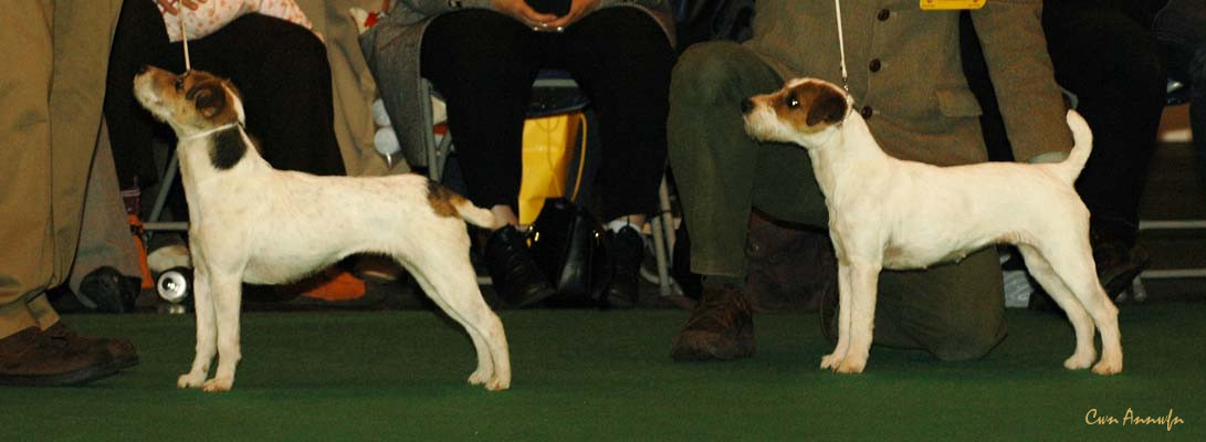 DSC_6343_garsayno tuti fruti_cragrats secret rock