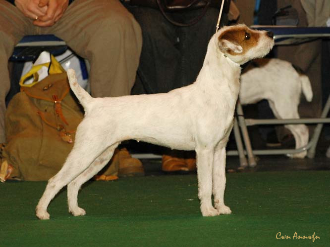 DSC_6344_pacolito phantastic at alncroft