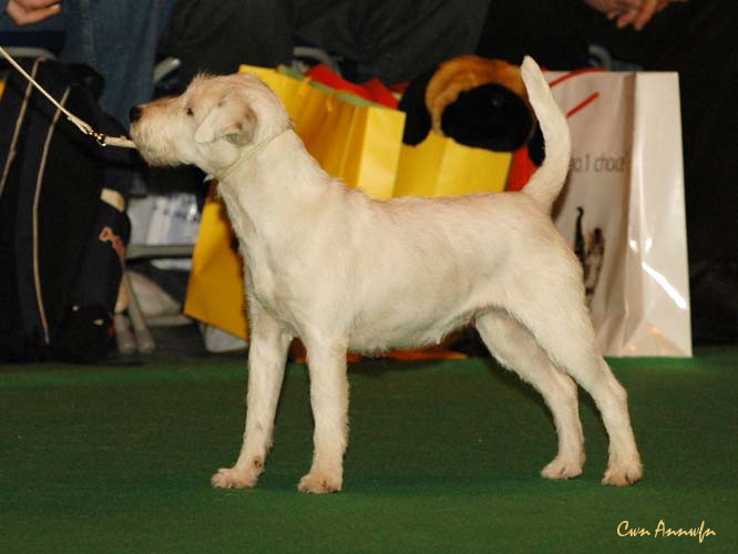 DSC_6345_suzans pride biwa pearl