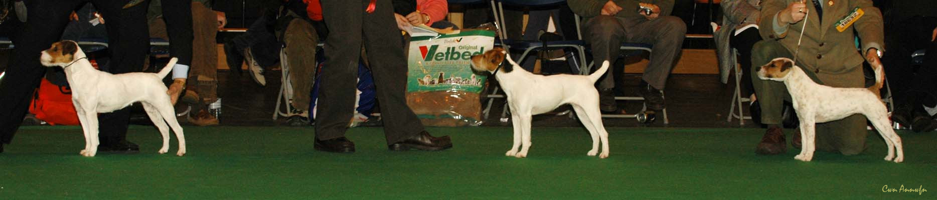 DSC_6351_miss teeq of andralok_middlemoss the only one_pacolito xsquisite at windynook