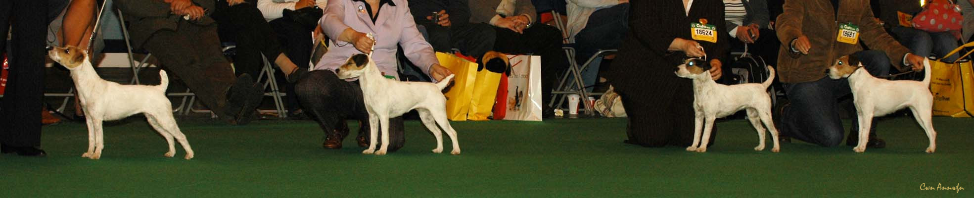 DSC_6352_pacolito xpectations_pacolito dymanti prima dona_pacolito phirstclass_clastlands emblazonment