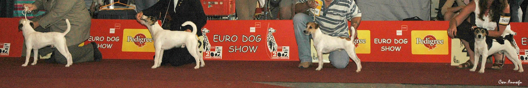 line up youth dogs - fairfax of lovealoch - eks terra furiis target runner - ultra archie - nervous breakdown hard rock dog